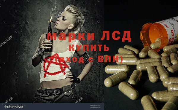мяу мяу мука Карталы