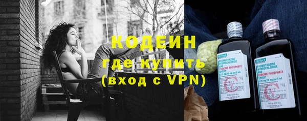 стаф Каменногорск